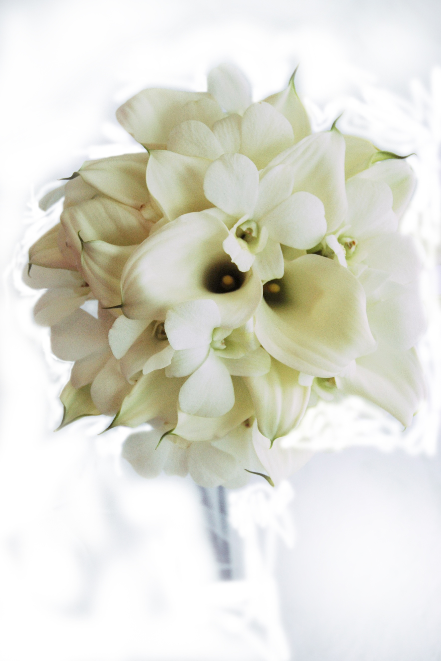 Hawaiian Bridal Flowers