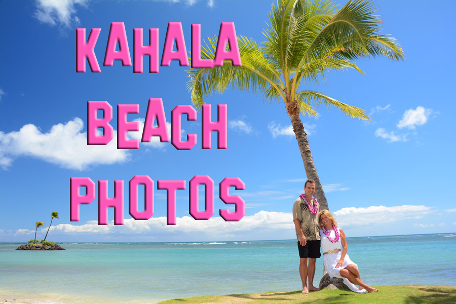 Photo Gallery