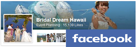 Bridal Dream Hawaii